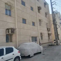 آپارتمان تک خواب نخل تقی