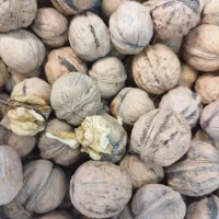 فروش انواع گردو|خوردنی و آشامیدنی|لنگرود, |دیوار