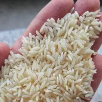 فروش برنج ۴۰ کیلو سورتینگ زده