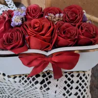 گل روبانی قرمز