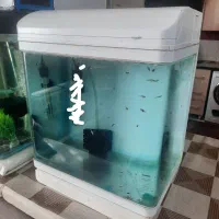 آکواریوم شیشه خم ماهیران معاوضه هم دارم
