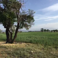 معاوضه ۳ هکتار زمین|فروش دفتر صنعتی، کشاورزی، تجاری|اصفهان, پارک ایثارگران|دیوار