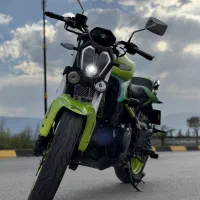 بنلی ۳۰۰ فسفری در حد