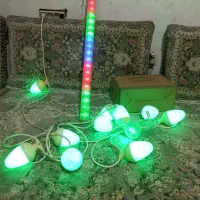 ریسه هفت رنگ بلوطی