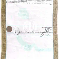 زمین|فروش زمین و ملک کلنگی|جهرم, |دیوار