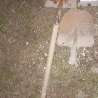 بیل و قفل|ابزارآلات|مشهد, کلاته برفی|دیوار