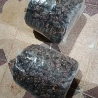 خرما درجه دو|خوردنی و آشامیدنی|شبانکاره, |دیوار