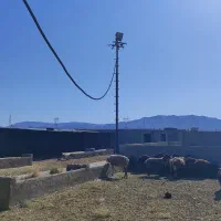 معاوضه مزرعه هفت هکتاری با واحد مسکونی|فروش دفتر صنعتی، کشاورزی، تجاری|فیروزکوه, |دیوار