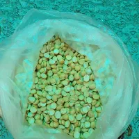 فروش محصولات خانگی