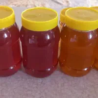 عسل کنار و مرکبات