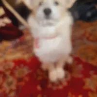 لطف ن جهت معامله تماس بگیرید