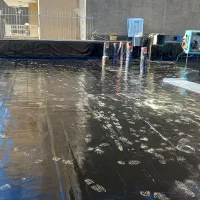 ایزوگام قیرگونی|خدمات پیشه و مهارت|قدس, شهر‌قدس|دیوار