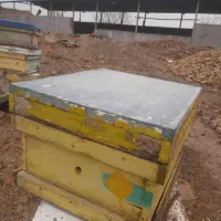 کندوی عسل خالی بدون شکستگی|لوازم جانبی حیوانات|تاکستان, |دیوار