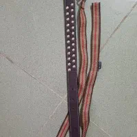 قلاده سگ چرم نو