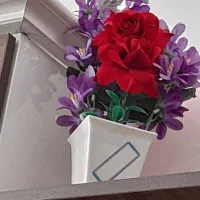 گل و گلدان|صنایع دستی و سایر لوازم تزئینی|قم, زند آباد|دیوار