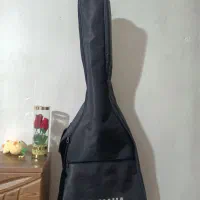 گیتار|گیتار، بیس، امپلیفایر|همدان, |دیوار