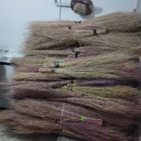 جارو محلی (گزی)