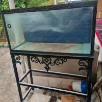 آکواریوم ۱ متر به عرض ۴۰ و ارتفاع ۵۰ سانت با پایه