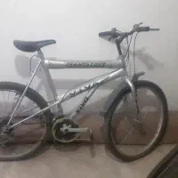 دوچرخه سایز ۲۴ دنده ای  ویوا