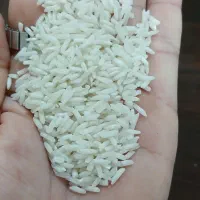 برنج هاشمی و نیمدانه هاشمی|خوردنی و آشامیدنی|رشت, پیرکلاچای|دیوار