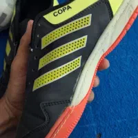 کفش فوتسال|کیف، کفش، کمربند|زابل, |دیوار