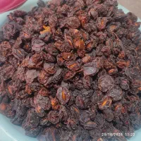 آلو|خوردنی و آشامیدنی|پاتاوه, |دیوار