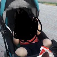 سرویس کالسکه و کریر و روروئک و ساک دلیجان