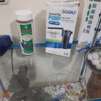 آکواریوم شیشه خم