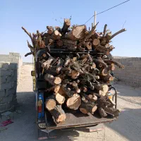 خرید انواع چوب|خدمات باغبانی و درختکاری|بهمن صغاد, |دیوار