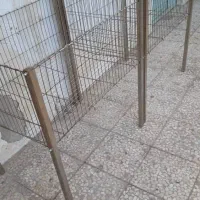 چوب لباس رگال