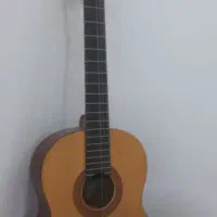 گیتار تمیز بدون هیچ ایراد|گیتار، بیس، امپلیفایر|شوش, |دیوار