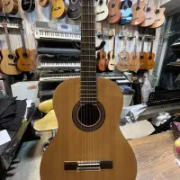 گیتار اسپانیایی در موزیک ارژنگ|گیتار، بیس، امپلیفایر|پردیس, فاز ۳|دیوار