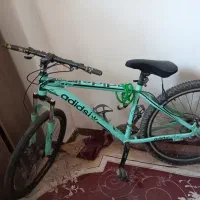 دوچرخه و بخاری فرگاز