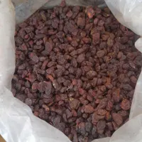 مویز کشمش خرما