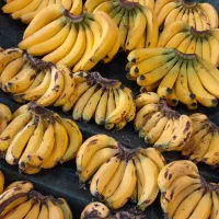 میوه باارسال رایگان در قم|خوردنی و آشامیدنی|قم, ولیعصر|دیوار