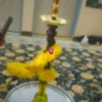 قلیون دوسیب البالو|کلکسیون و سرگرمی|فرمهین, |دیوار