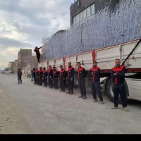 حفاظ روی دیوار. شاخ گوزنی .بوته خاری .