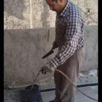 ایزوگام کاری برادران ترکمن|خدمات پیشه و مهارت|اقبالیه, |دیوار