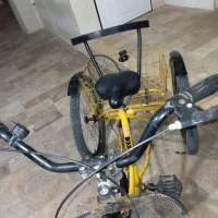 سه چرخه بزرگسالان