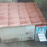 فروش لانه مرغ و خروس