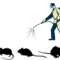 سم پاشی تخصصی با بهترین سموم و نازلترین قیمت