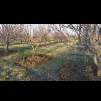 شخم زنی باغ، گلخانه، باغچه|خدمات باغبانی و درختکاری|مرند, |دیوار