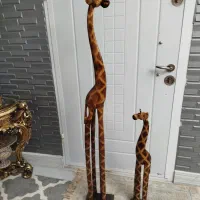 زرافه کنار سالنی