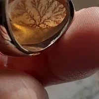 انگشتر شجر قائنات|جواهرات|خمینی‌شهر, |دیوار