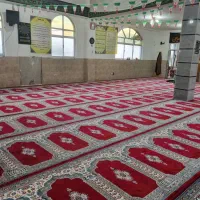 ۱۲۰۰شانه لوکس کاترینا|فرش|شیراز, تندگویان|دیوار