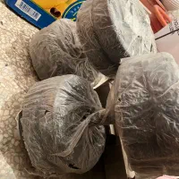 دمبل متغییر