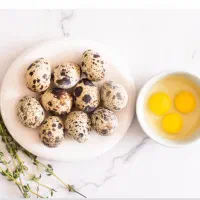 تخم بلدرچین
