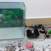 اکواریم به همراه کل وسایل