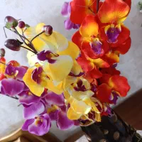 گل مصنوعی ارکیده و گلدان|گل مصنوعی|تهران, خانی آباد نو جنوبی|دیوار