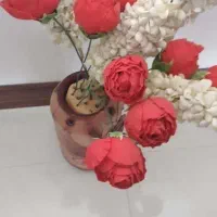 گل مصنوعی|گل مصنوعی|دزفول, |دیوار